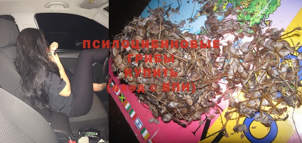 дмт Инсар