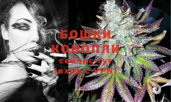 дмт Инсар