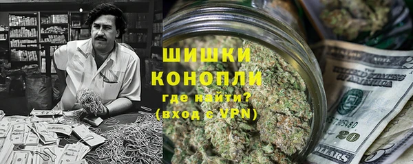 дмт Инсар