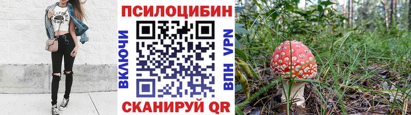 Купить где  Таштагол  Псилоцибиновые грибы Psilocybe 